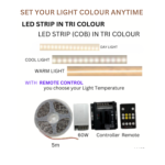 LED STRIP 3COL 531